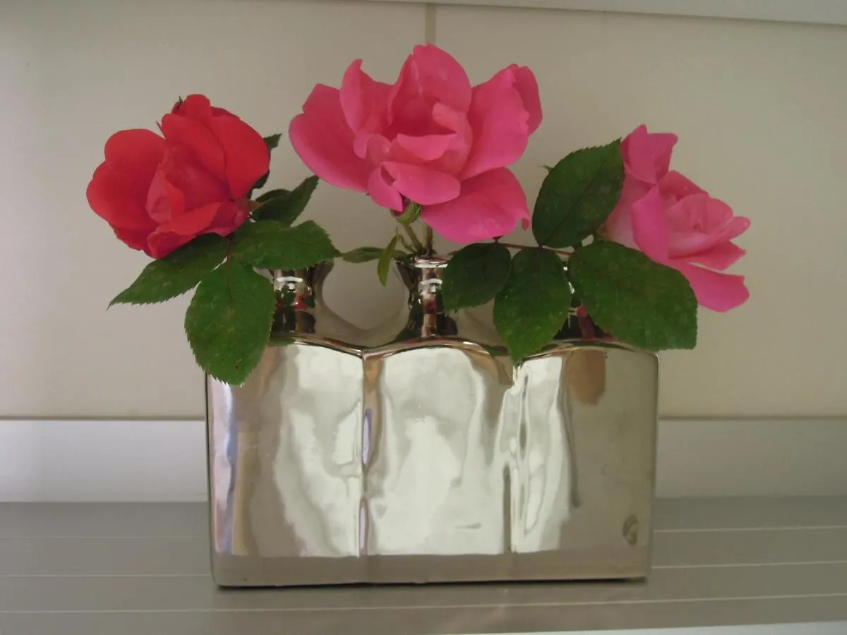Apartment Stella Maris Appartement Umag